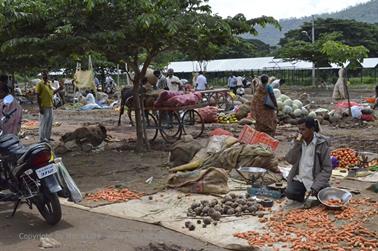 Farmer Market, Bauernmarkt, Mysore_DSC4685_H600